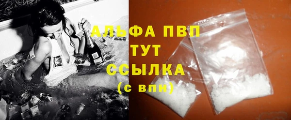 гидра Белокуриха