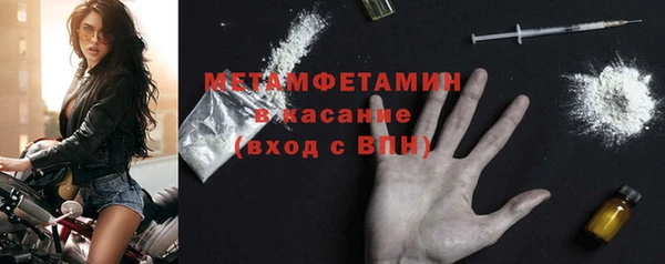гидра Белокуриха