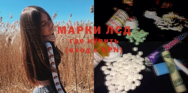 ПСИЛОЦИБИНОВЫЕ ГРИБЫ Беломорск