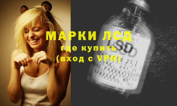 ПСИЛОЦИБИНОВЫЕ ГРИБЫ Беломорск