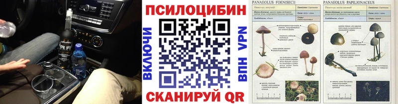 hydra ТОР  цена   Тайга  Псилоцибиновые грибы мухоморы 